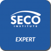 S-ITSE IT-Security Expert