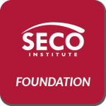 S-SSF Secure Programming Foundation