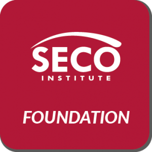 Secure Programming Foundation