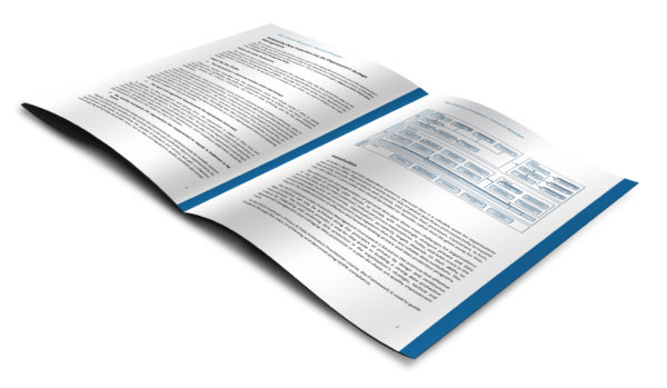 Data Protection Management Framework - Whitepaper - Image 2