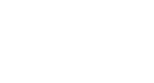 Secure-programming-white